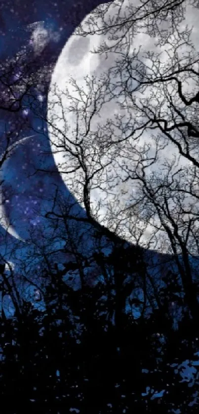 Silhouetted figure with trees under a starry, moonlit blue sky.