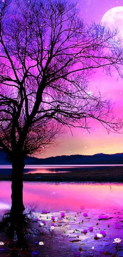 Colorful sunset sky and silhouetted tree reflecting on a calm lake.