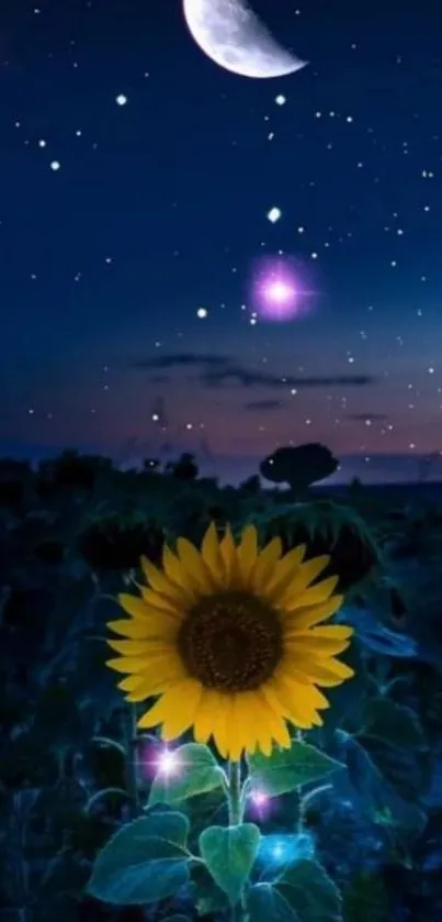 Sunflower glowing under starry night sky with moon.