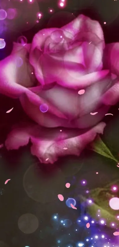 Vibrant pink rose with glowing effects on a dark background.