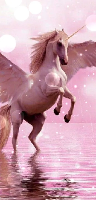 Winged unicorn flying over pink water.