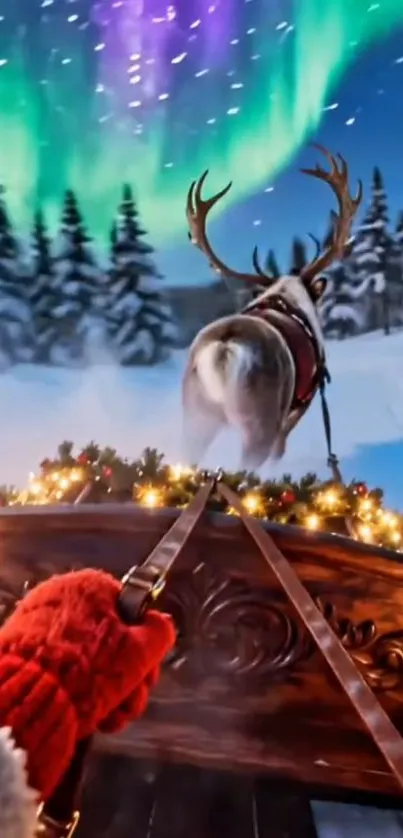 Reindeer sleigh in snowy forest under auroras.