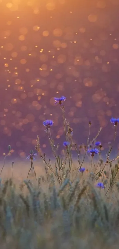 Sunset-lit flower field with magical glow.