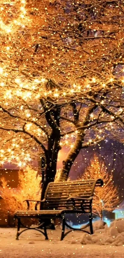 Winter night with glowing tree lights and a snowy bench.