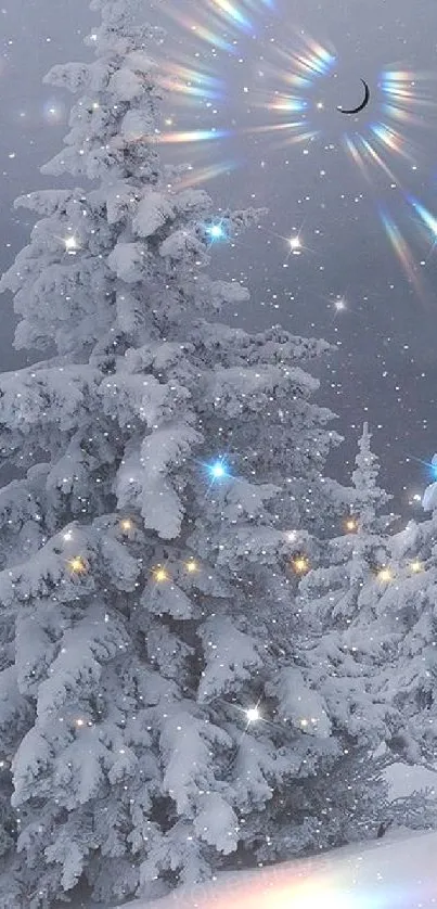 Snowy forest with magical lights in a winter night scene.