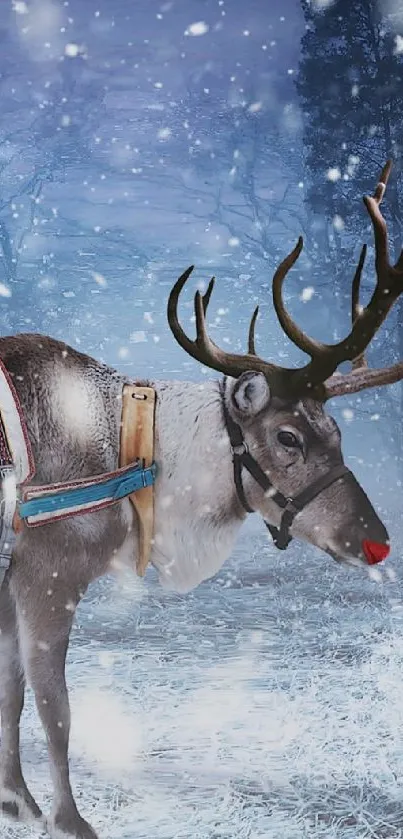 Reindeer with child in snowy winter forest at night.
