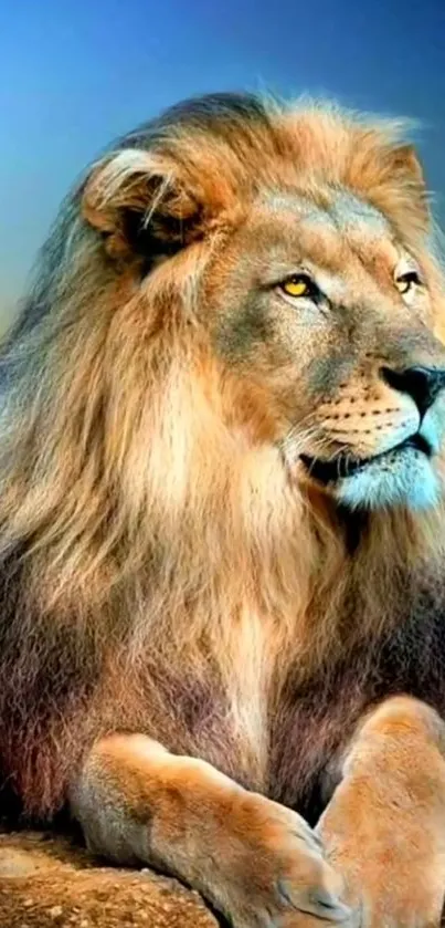 Majestic lion resting with a vibrant mane background.