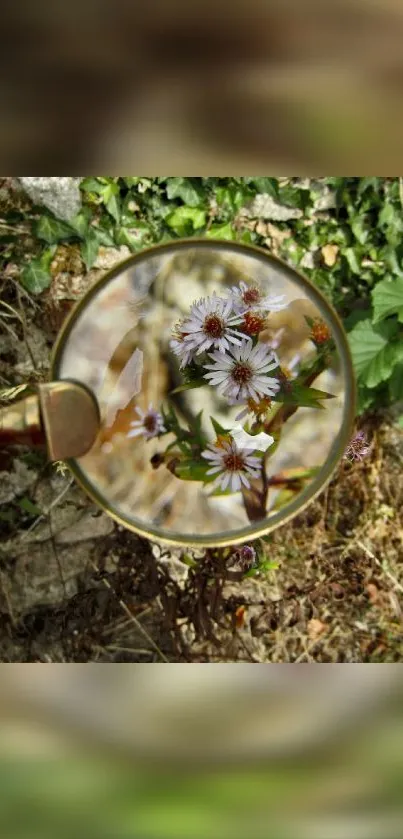 Magnified view of flowers and leaves in nature.