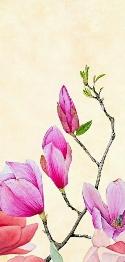 Elegant mobile wallpaper featuring magnolia blossoms with a soft cream background.