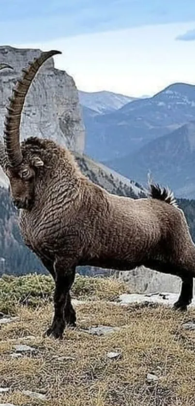 Majestic Alpine ibex against mountain scenery in nature wallpaper.