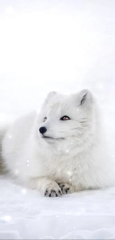 Arctic fox resting on snow in a serene landscape.