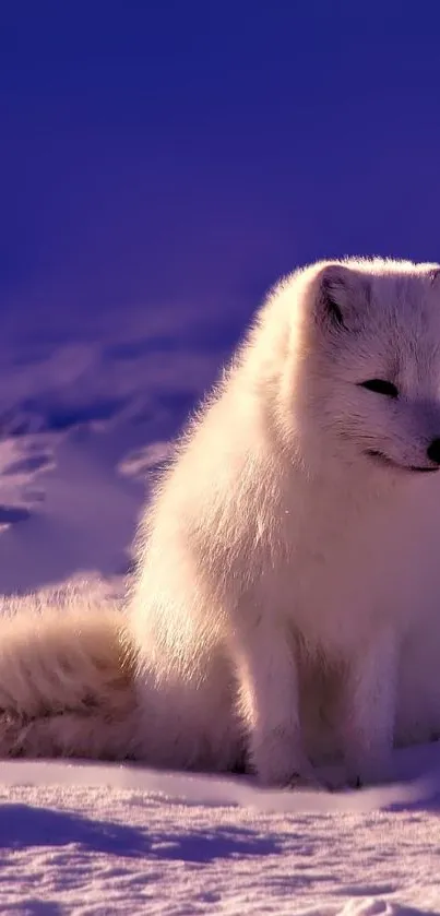 Elegant Arctic fox in snowy landscape with purple sky.