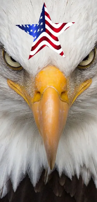 Bald eagle with American flag on forehead.