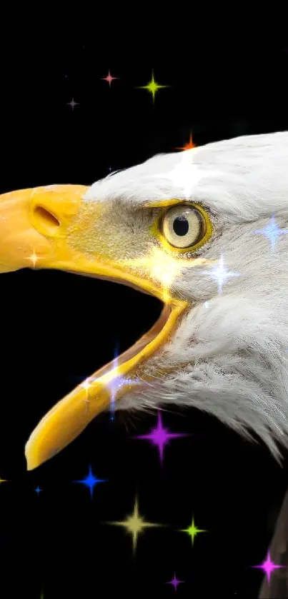Close-up of a bald eagle with a black background.
