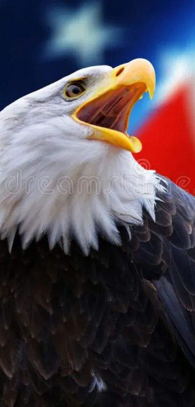 Close-up of a majestic bald eagle with American flag background.