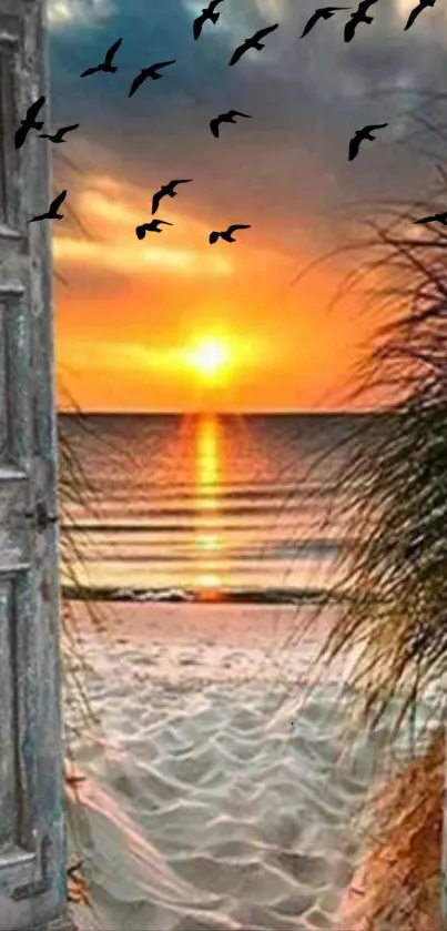 Beach sunset through open door with flying birds, creating a serene ocean view.