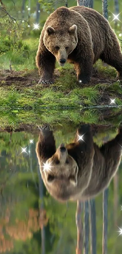 Majestic bear standing by a reflective lake in a lush forest, perfect for wallpaper.