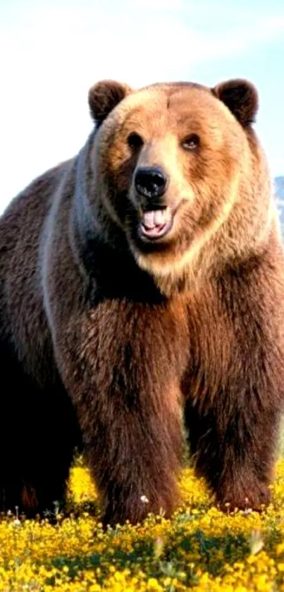 Majestic brown bear in a field with yellow flowers and mountain backdrop.