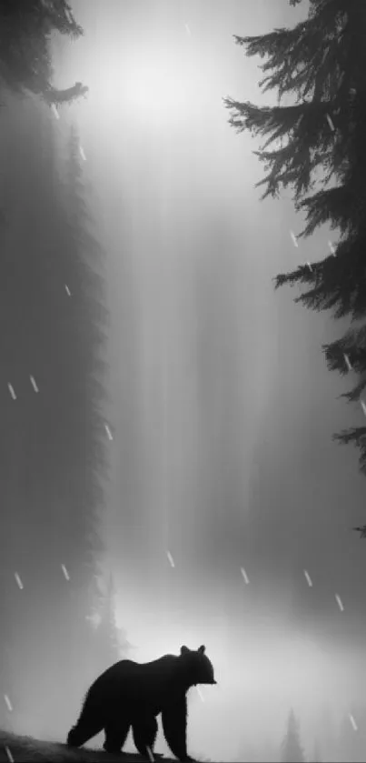 Silhouetted bear in misty forest, black and white.