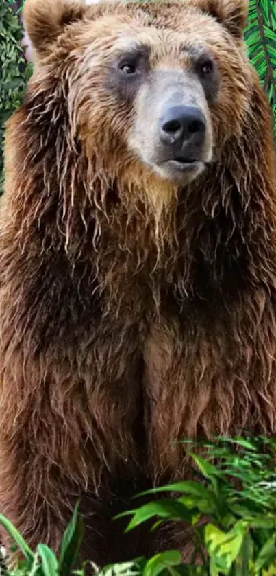 Majestic brown bear in a lush green forest setting.