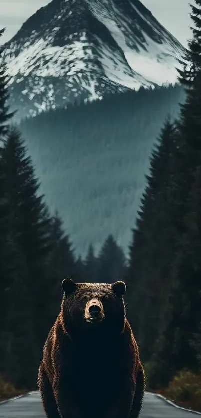 Bear stands on a road with a snow-covered mountain in the background.