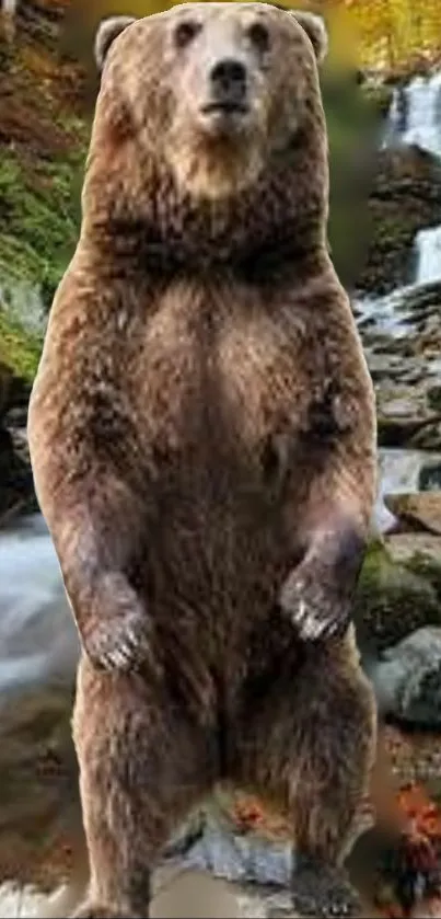 Standing bear in a forest with waterfall.