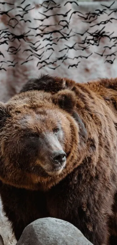 Brown bear among rocks with birds overhead in natural setting.