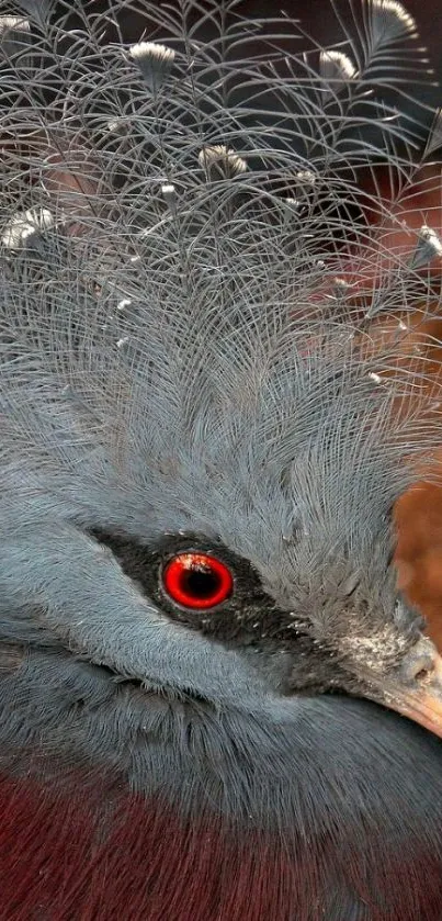 Close-up of a majestic bird with vibrant plumage and striking eyes.