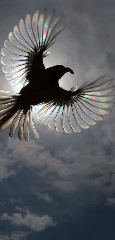 Mystical bird silhouette flying in the sky.