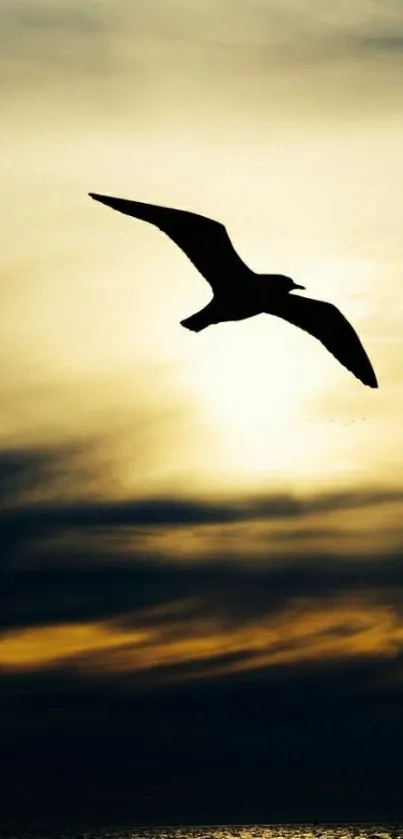 Bird silhouette flying against sunset backdrop.