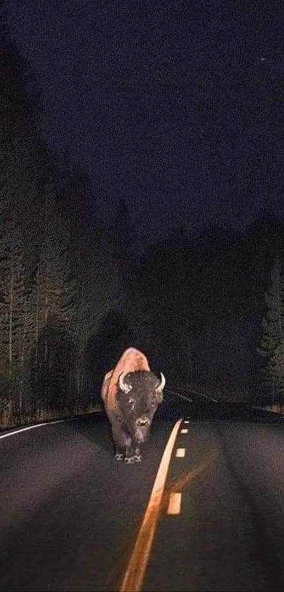 Bison walking along a dark forest road at night.