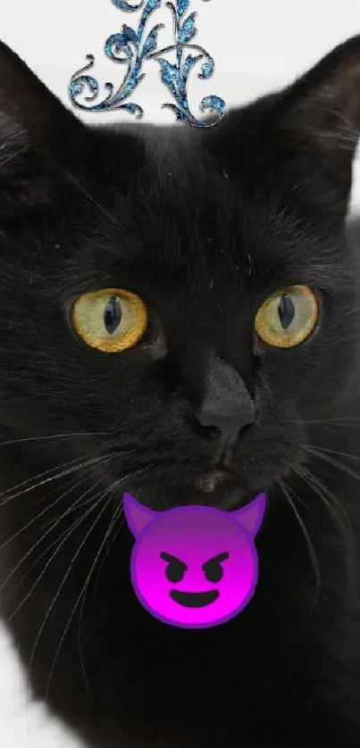 Majestic black cat with bright eyes and stylish accessory wallpaper.