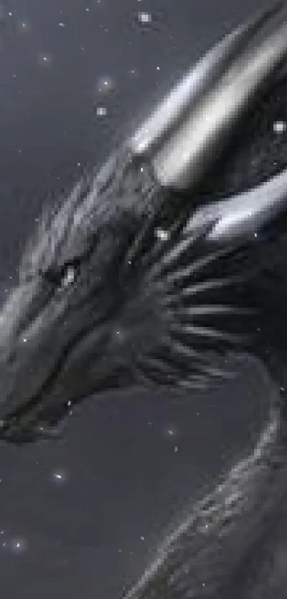 Majestic black dragon with silver horns and dark scales.