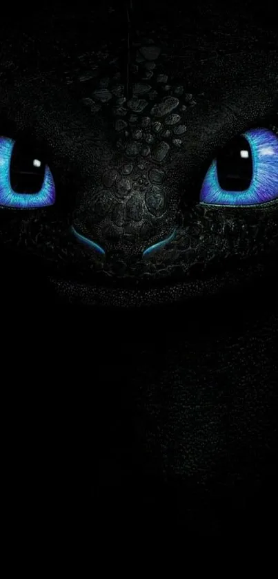 Black dragon with glowing blue eyes on dark background.