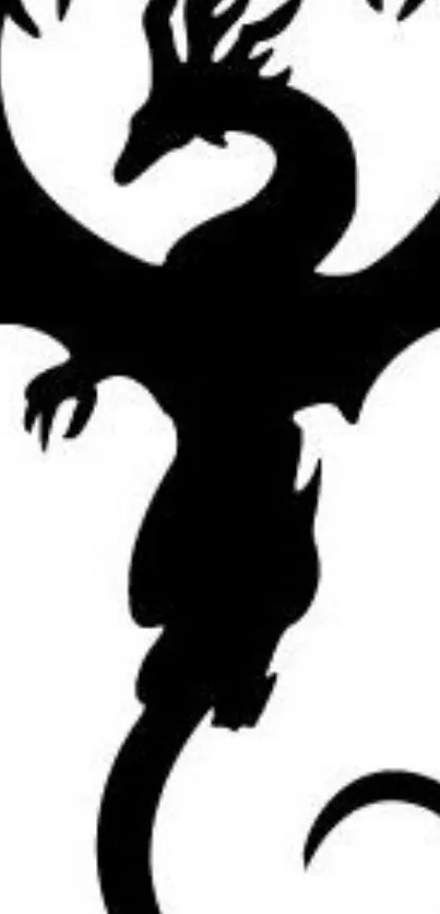 Silhouette of a majestic black dragon on a white background.