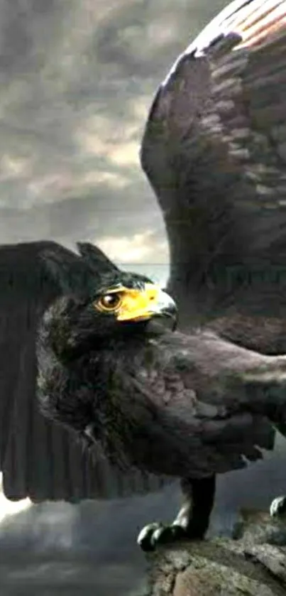 Majestic black eagle with wings spread wide on rock.