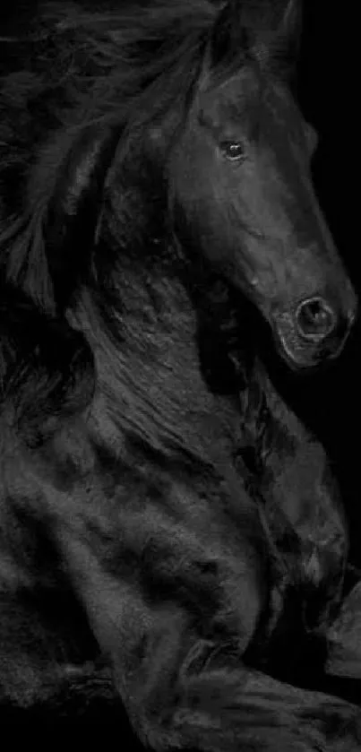 Elegant black horse captured in stunning monochrome art.