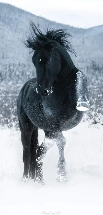 A majestic black horse running through a snowy landscape, captured in a stunning winter scene.