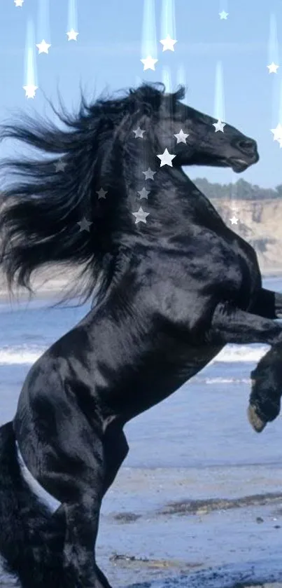 Black horse rearing on a starry beach.