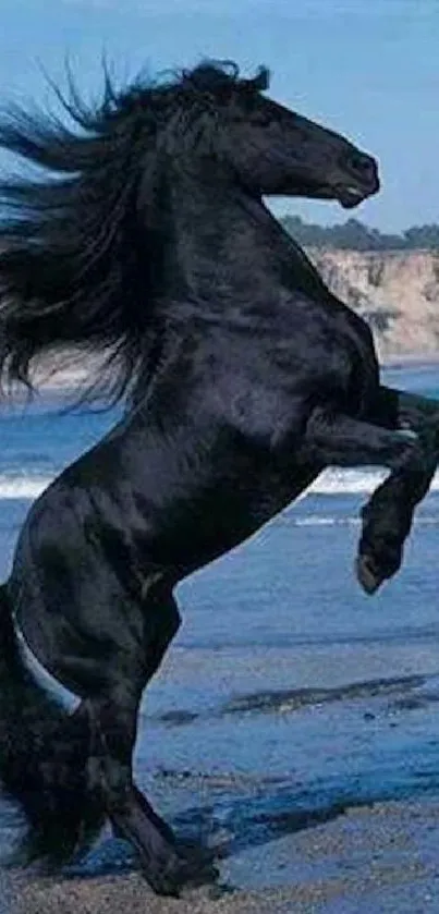 Majestic black horse rearing on a beach with waves and cliffs.