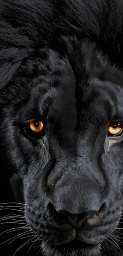 Close-up of a majestic black lion with striking orange eyes.