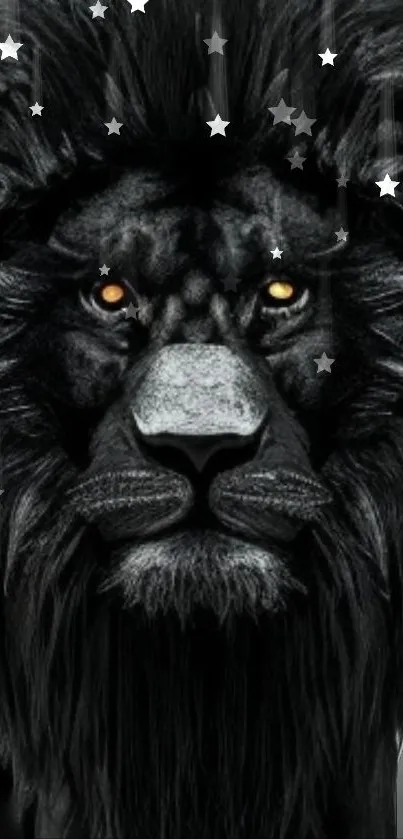 Majestic black lion with glowing eyes and starry background.