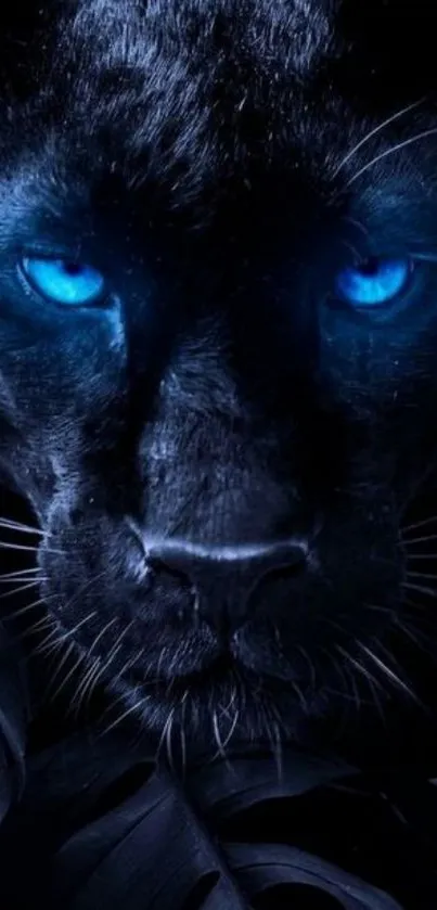 Black panther with glowing blue eyes close-up view.