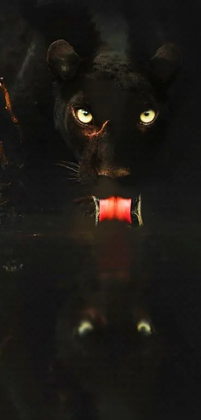 Black panther drinking water at night, eyes reflecting mystery.