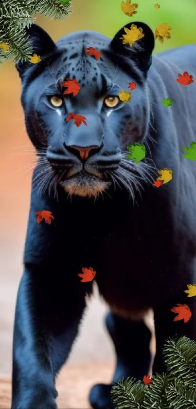 Majestic black panther in the wild.