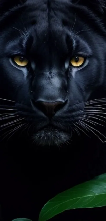 Black panther staring through lush jungle leaves in striking contrast.