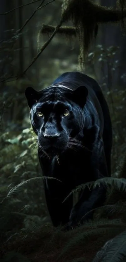 Majestic black panther in a mystical dark forest setting, ideal for mobile wallpaper.