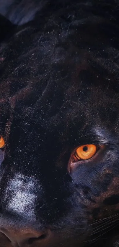 Majestic black panther with glowing eyes on mobile wallpaper.