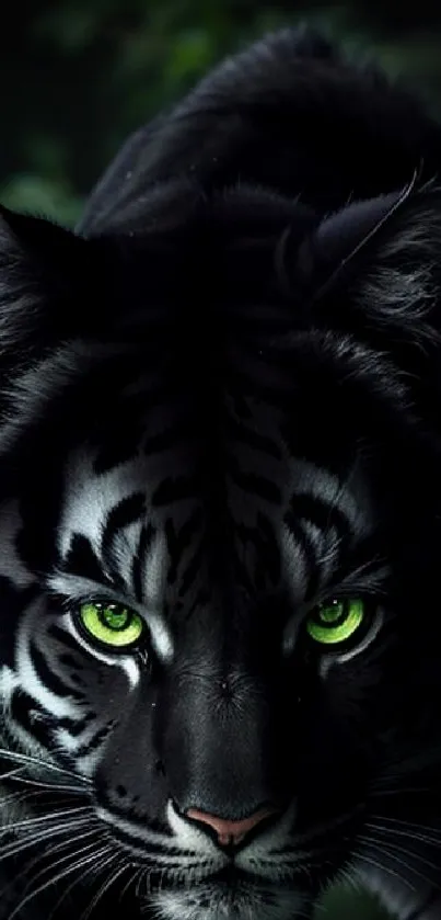 Majestic black tiger with vivid green eyes mobile wallpaper.