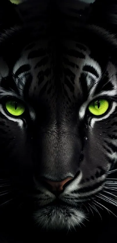 A black tiger with striking green eyes in a dramatic wildlife portrait.